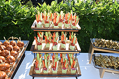 LAUNCH TO VANDERBILT